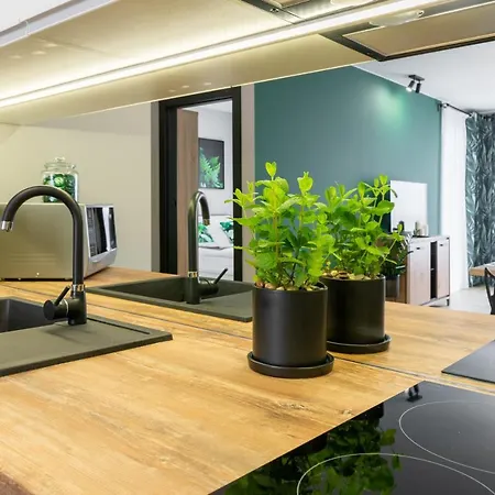 Apartament Bailando Apartment *